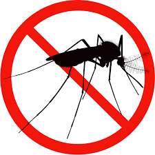 Mosquitoes