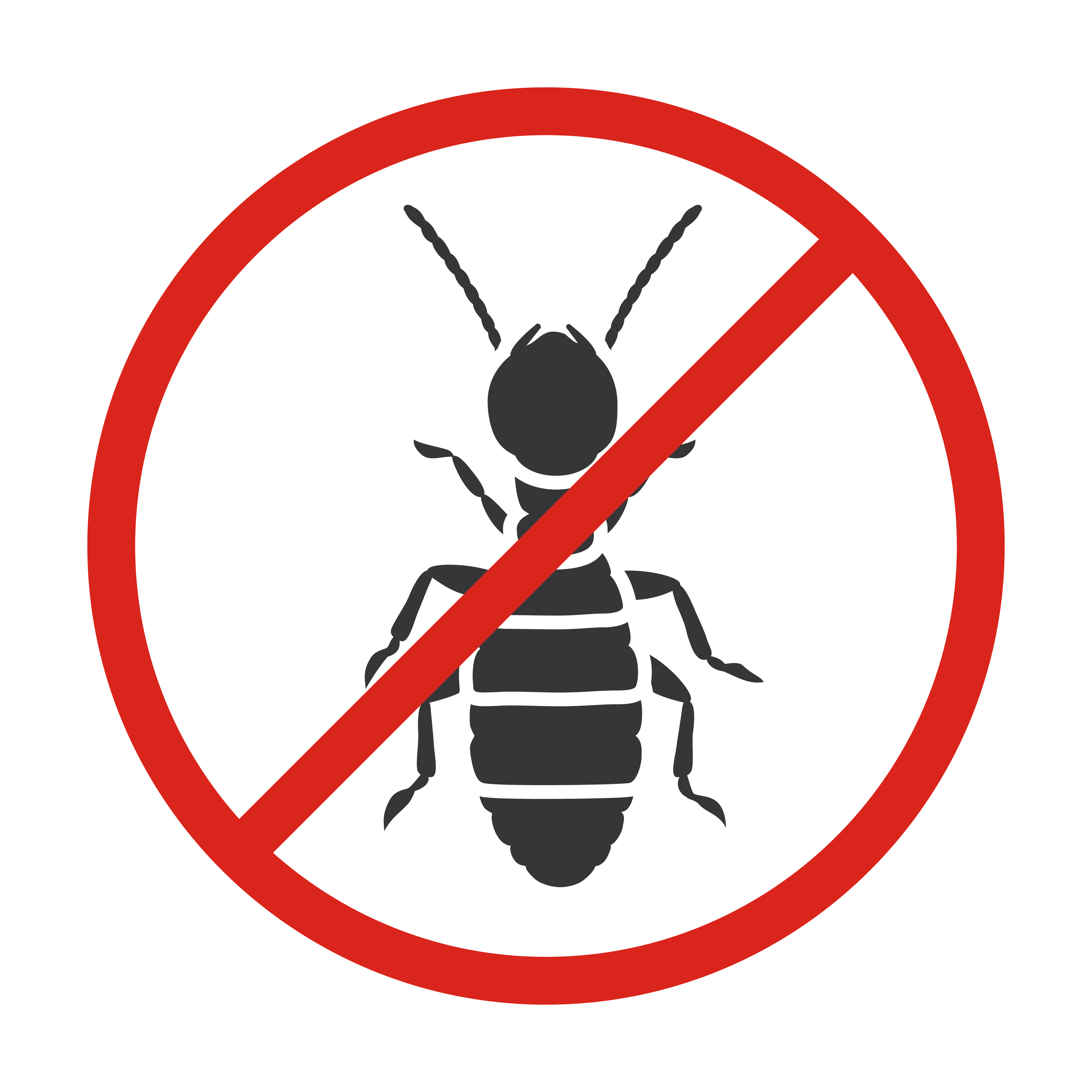 Termites