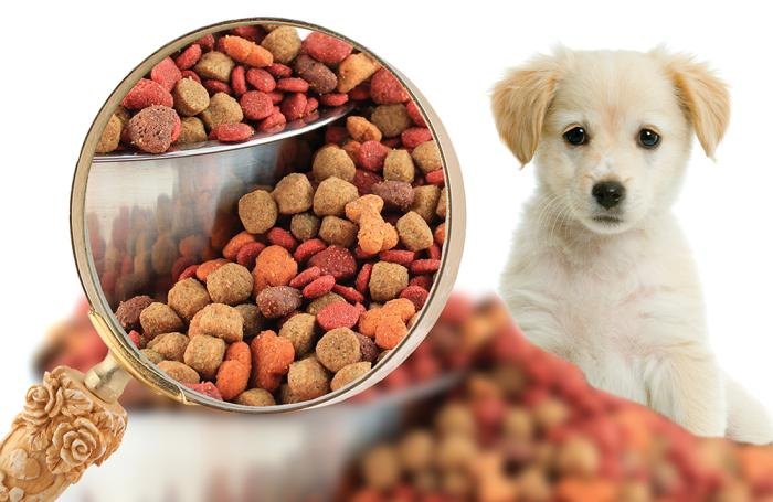 Pet food