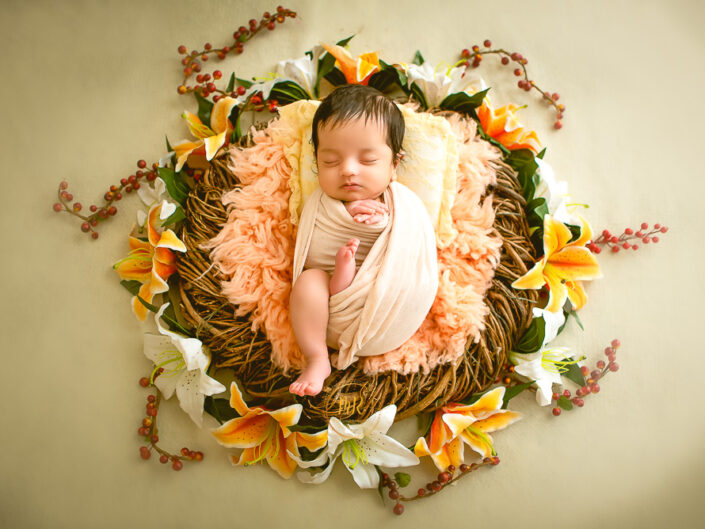 New Born Photography