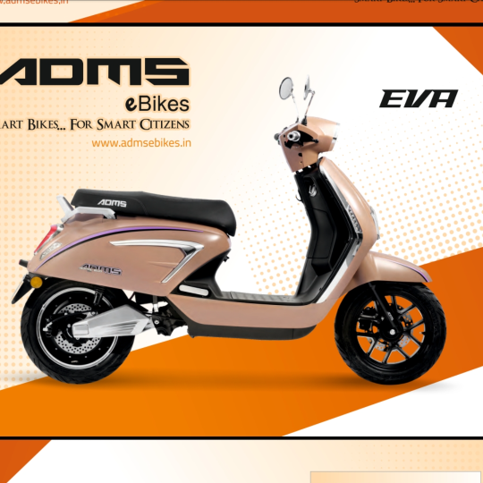 Electric bike EVA