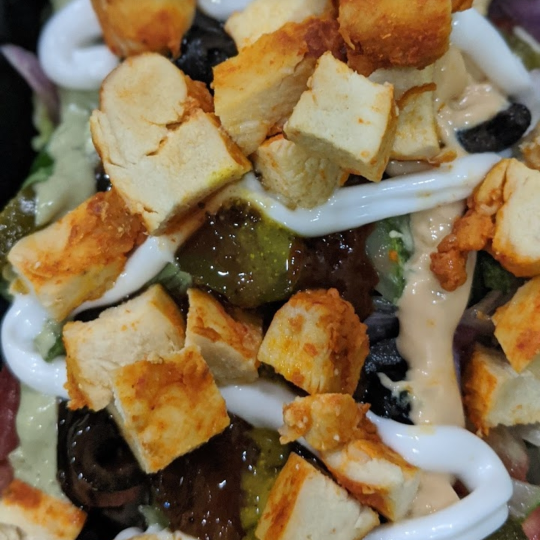 Paneer tikka burrito 