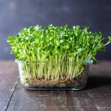 micro greens