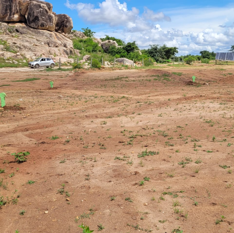 Farm Land Balanagar in Shadnagar