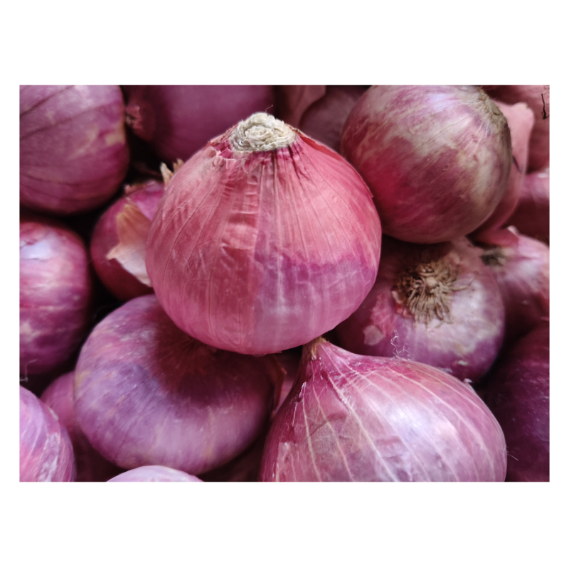 onion