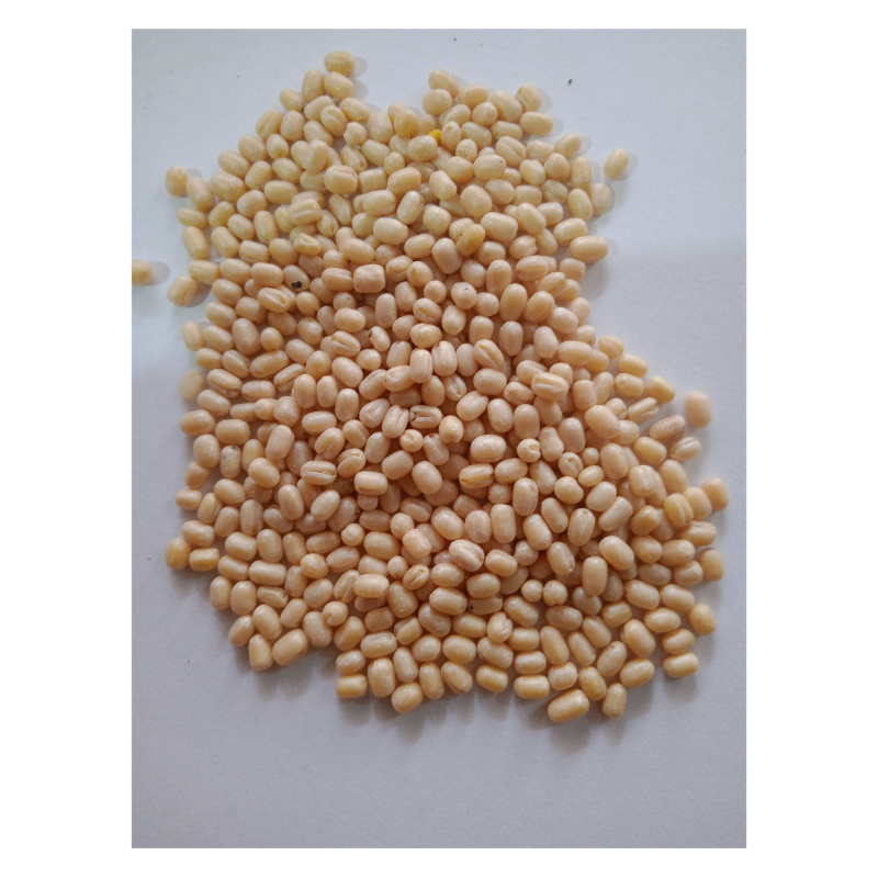 urad dal (minapagundlu)