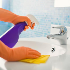 Bathroom Cleaning