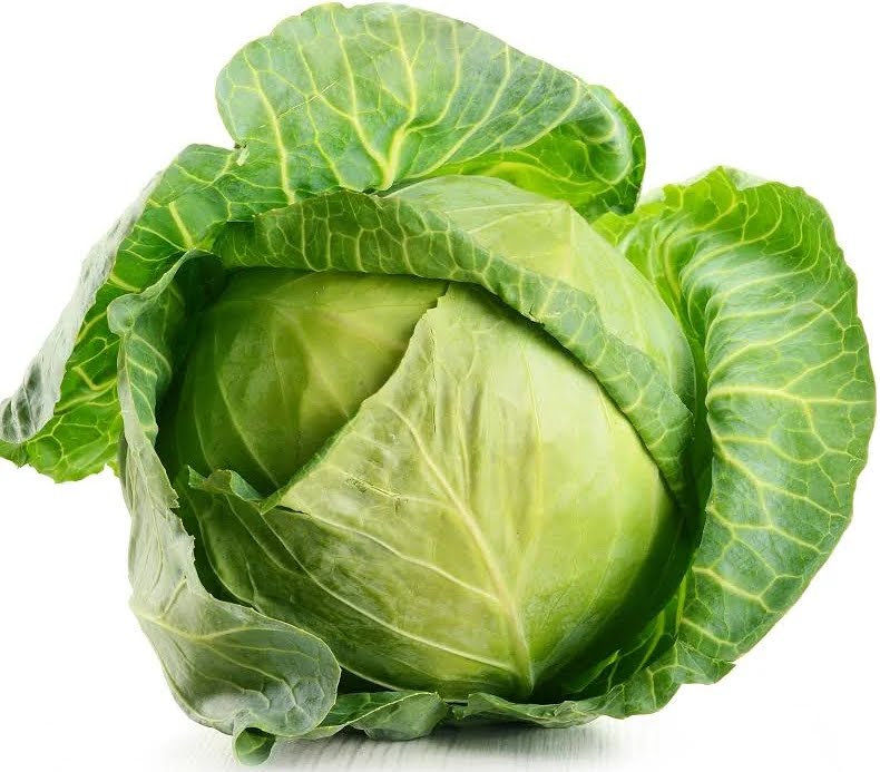 Cabbage