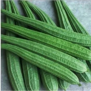Ridge Gourd (Beerakaya)