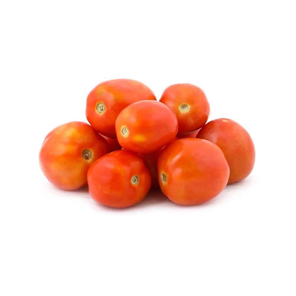 Tomato Hybrid