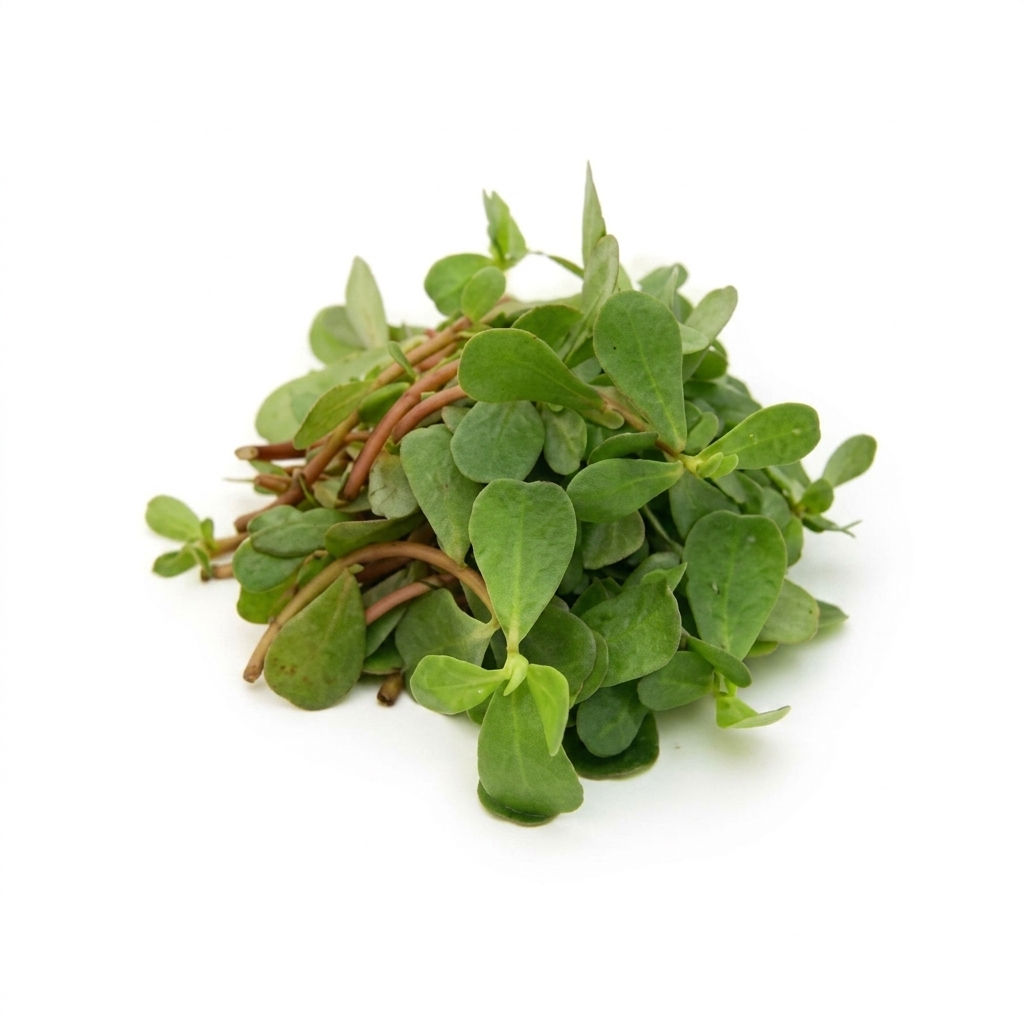 Gangavall-Gangabayalu Kura(Purslane)