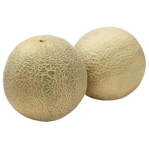 Cantaloupe (Kharbuja)