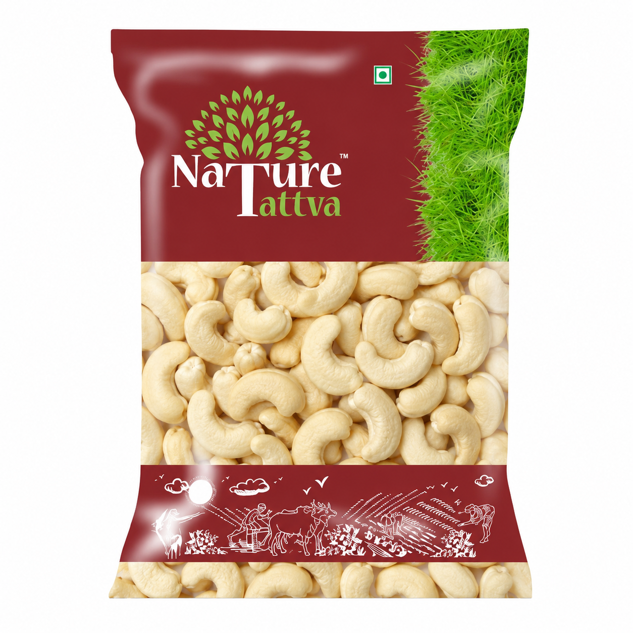 Cashew