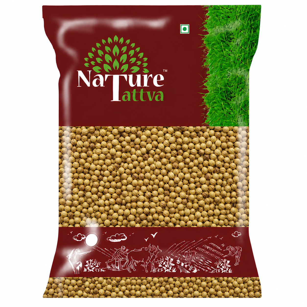 Dhaniya Seeds