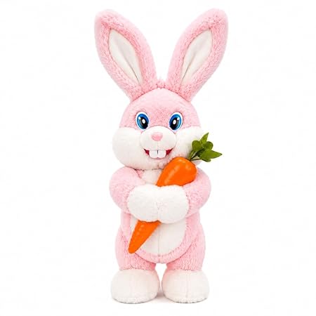 walks forword and backword rabbit