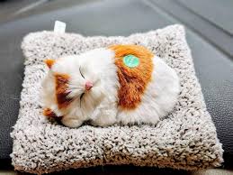 Realistic Stimulation Sleeping cat