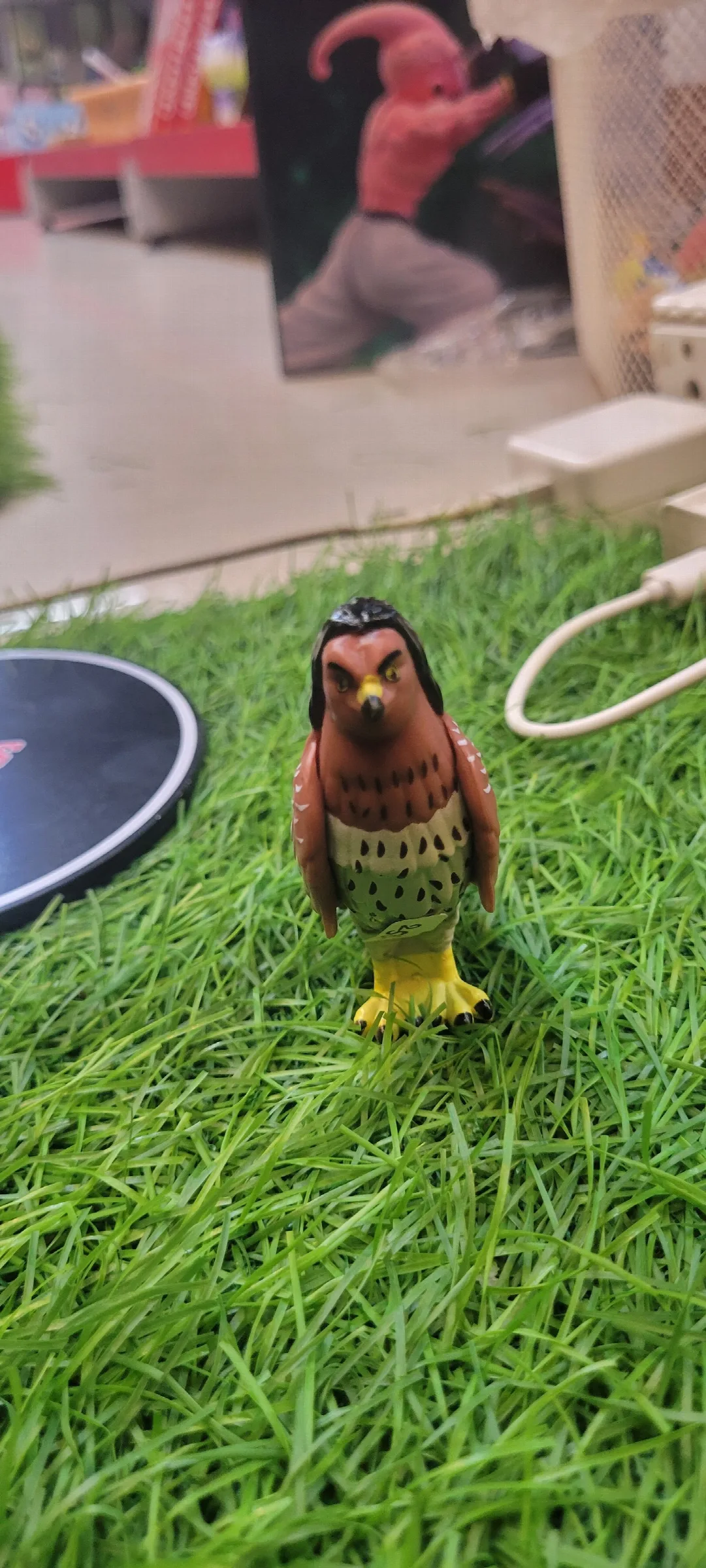 Maui as a Hawk