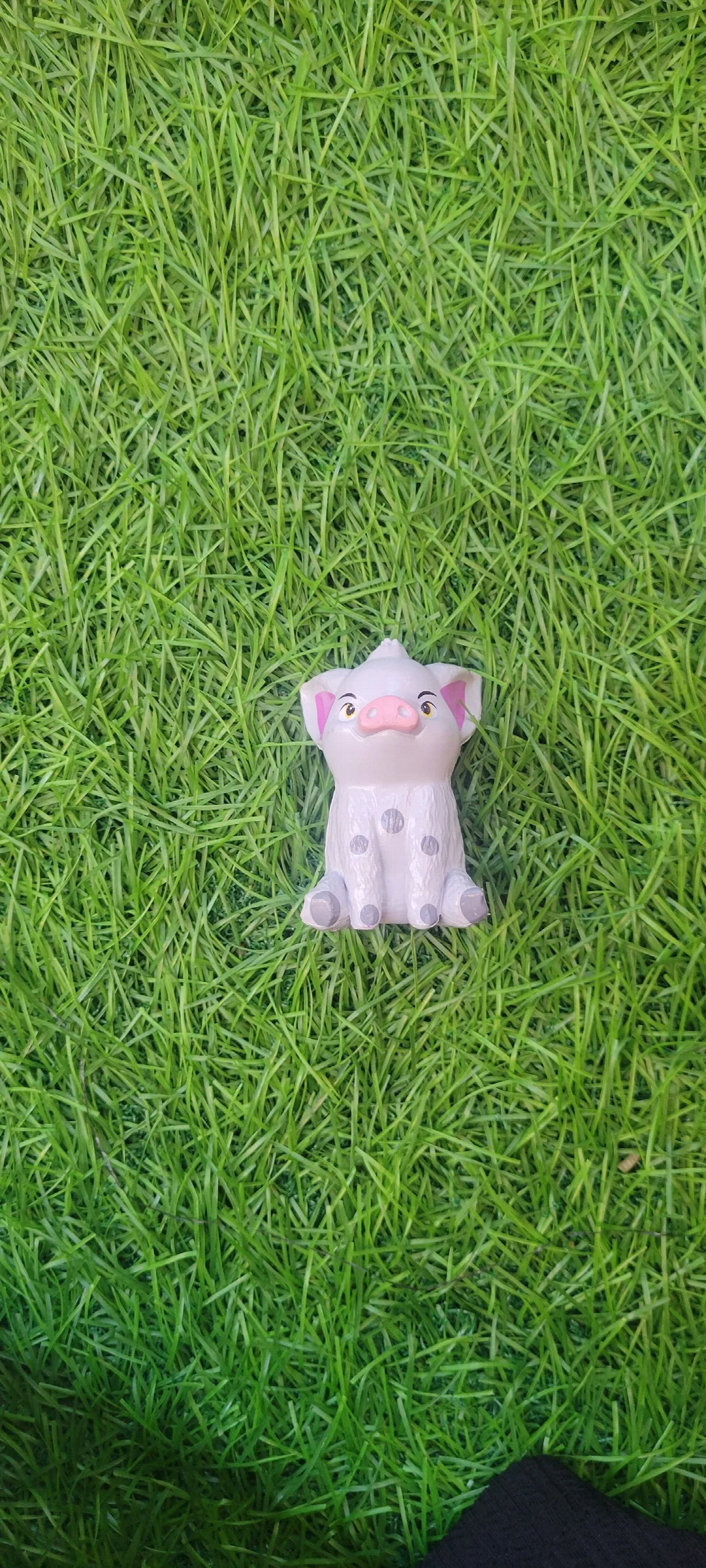 Pua from Moana