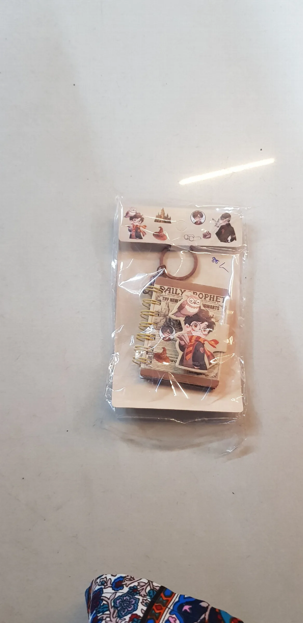 Harry Potter miniature diary keychain