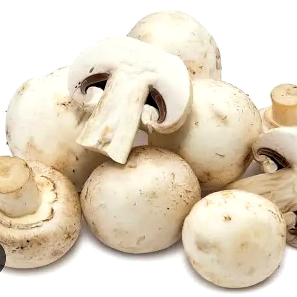 Mushrooms