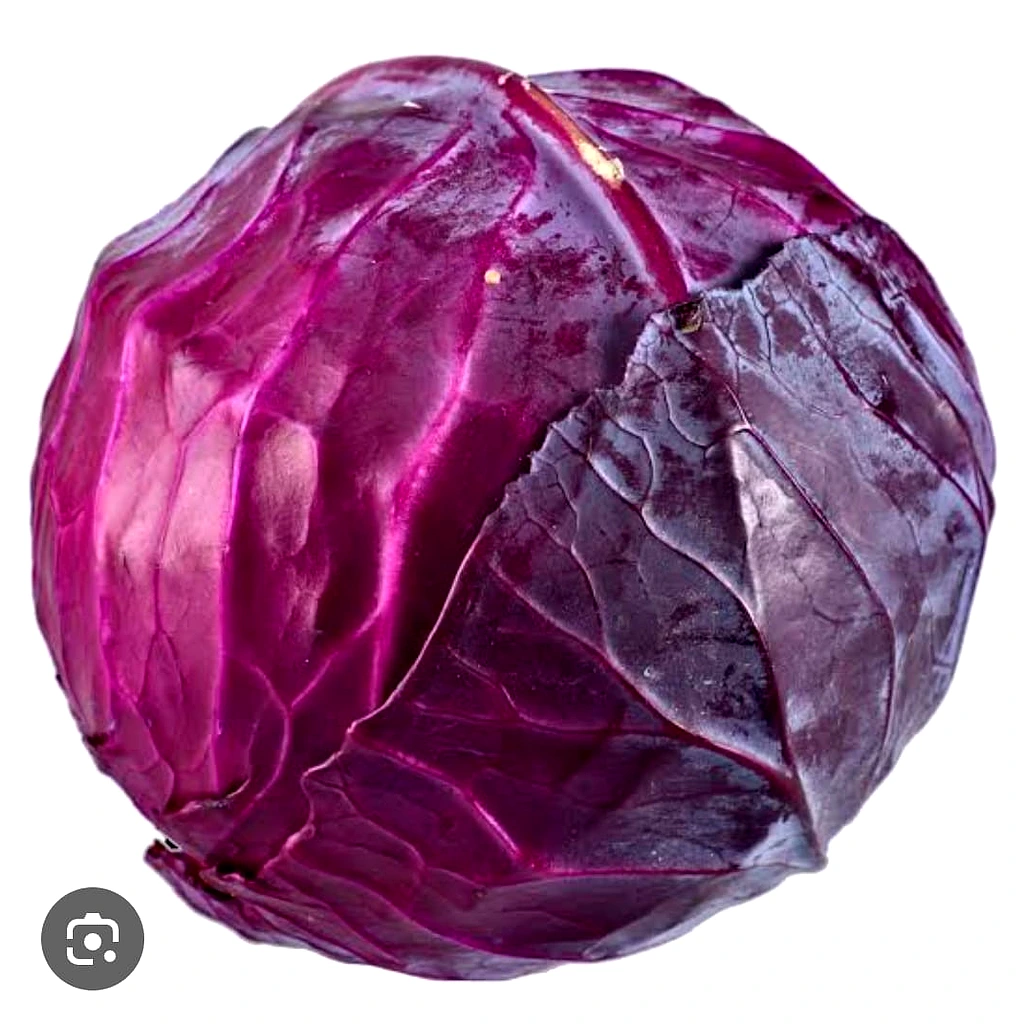 Red Cabbage