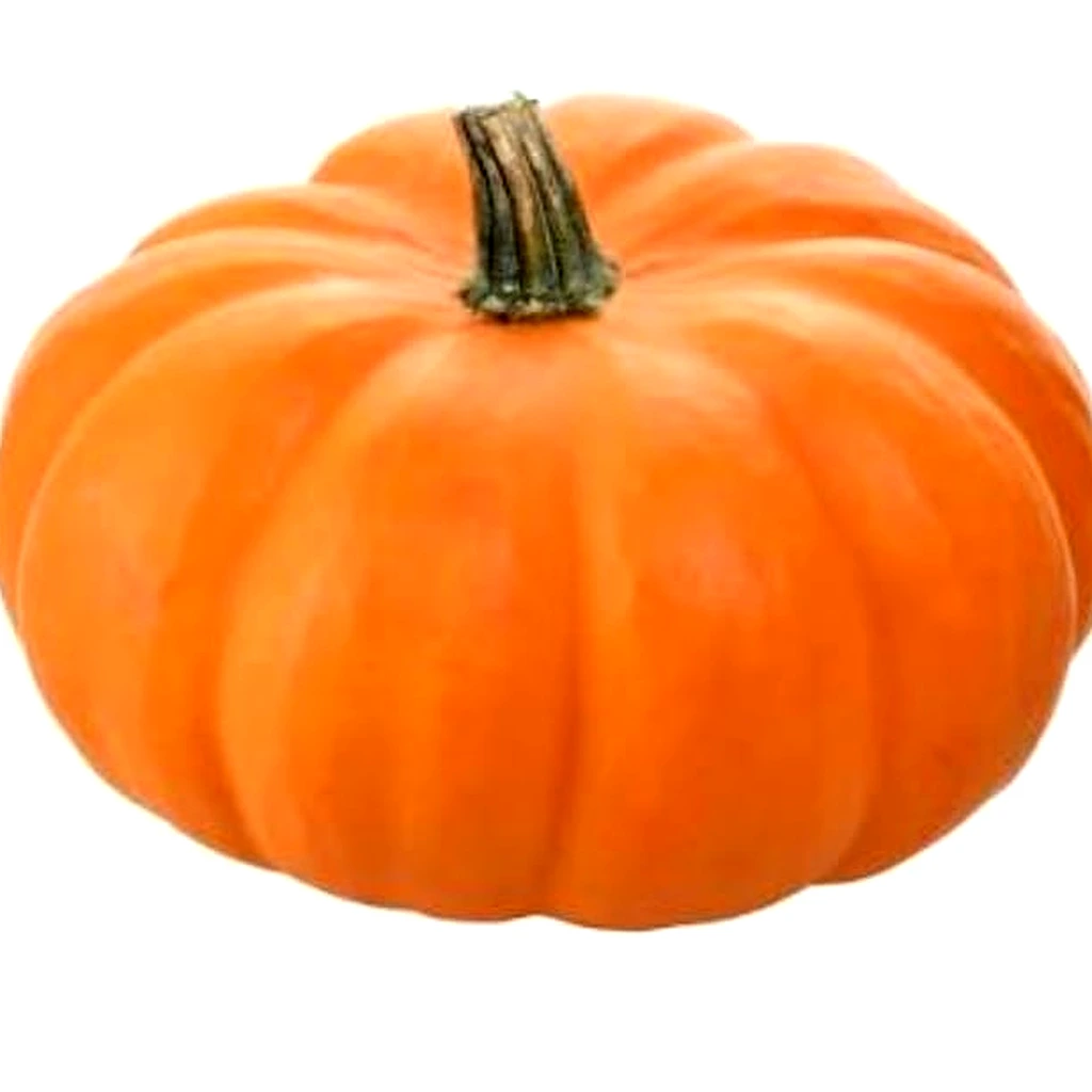 Pumpkin