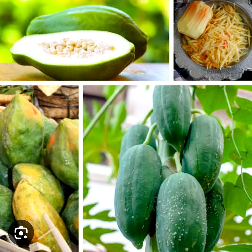 Raw Papaya