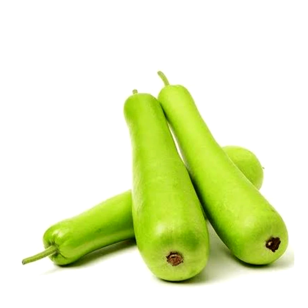 Bottle Gourd