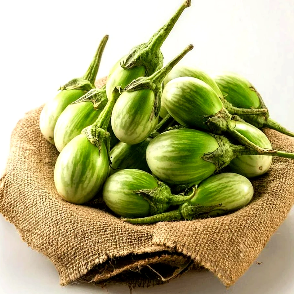 Green Brinjal
