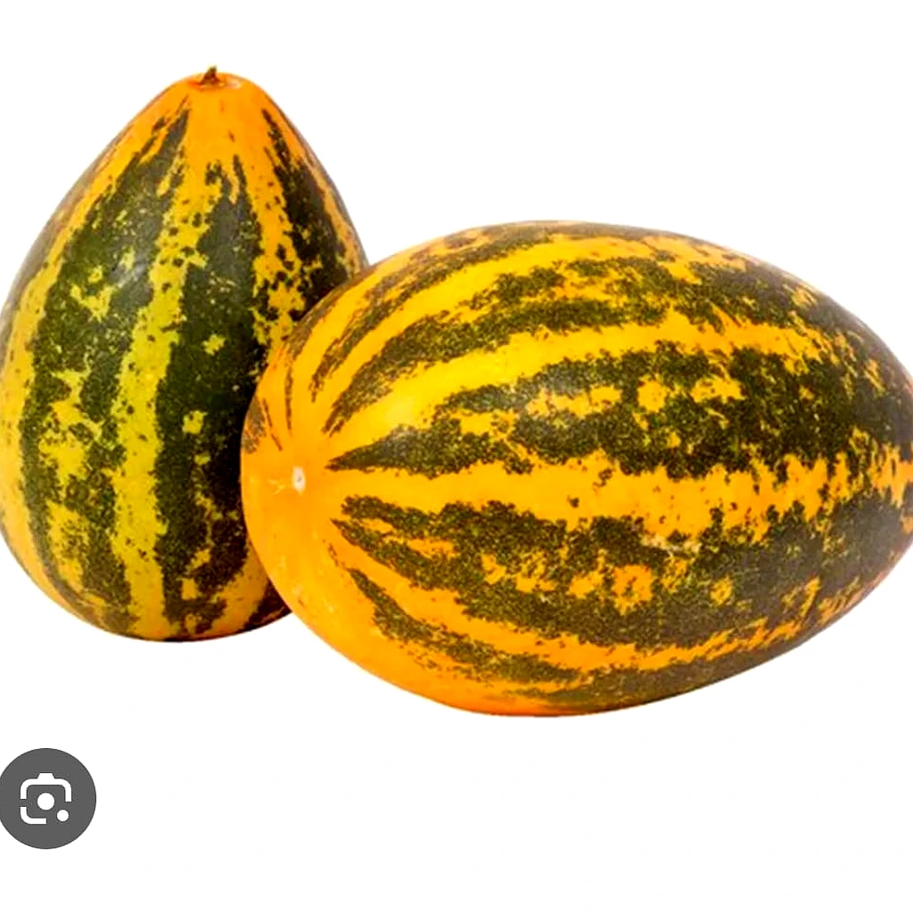 Yellow Cucumber
