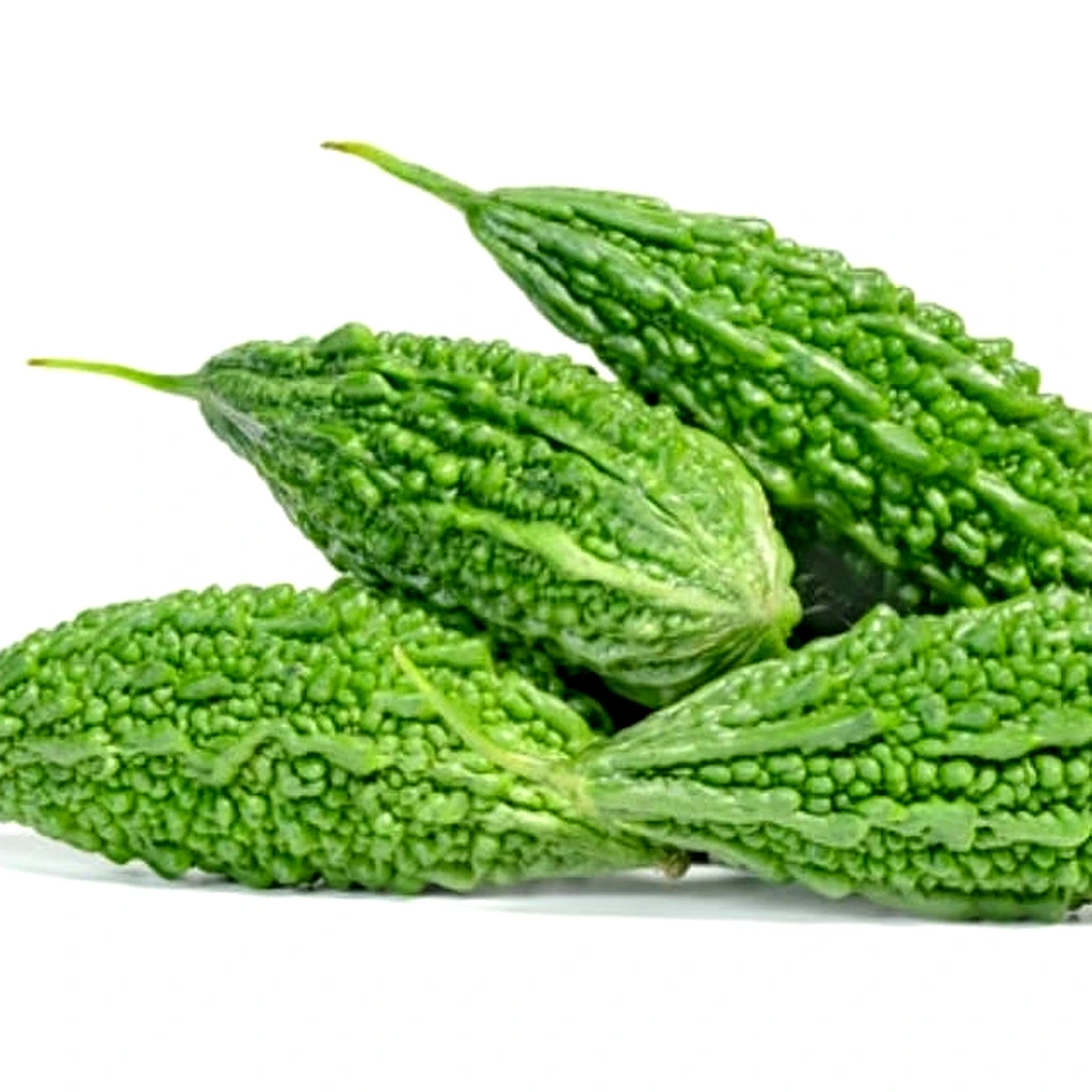 Bitter Gourd
