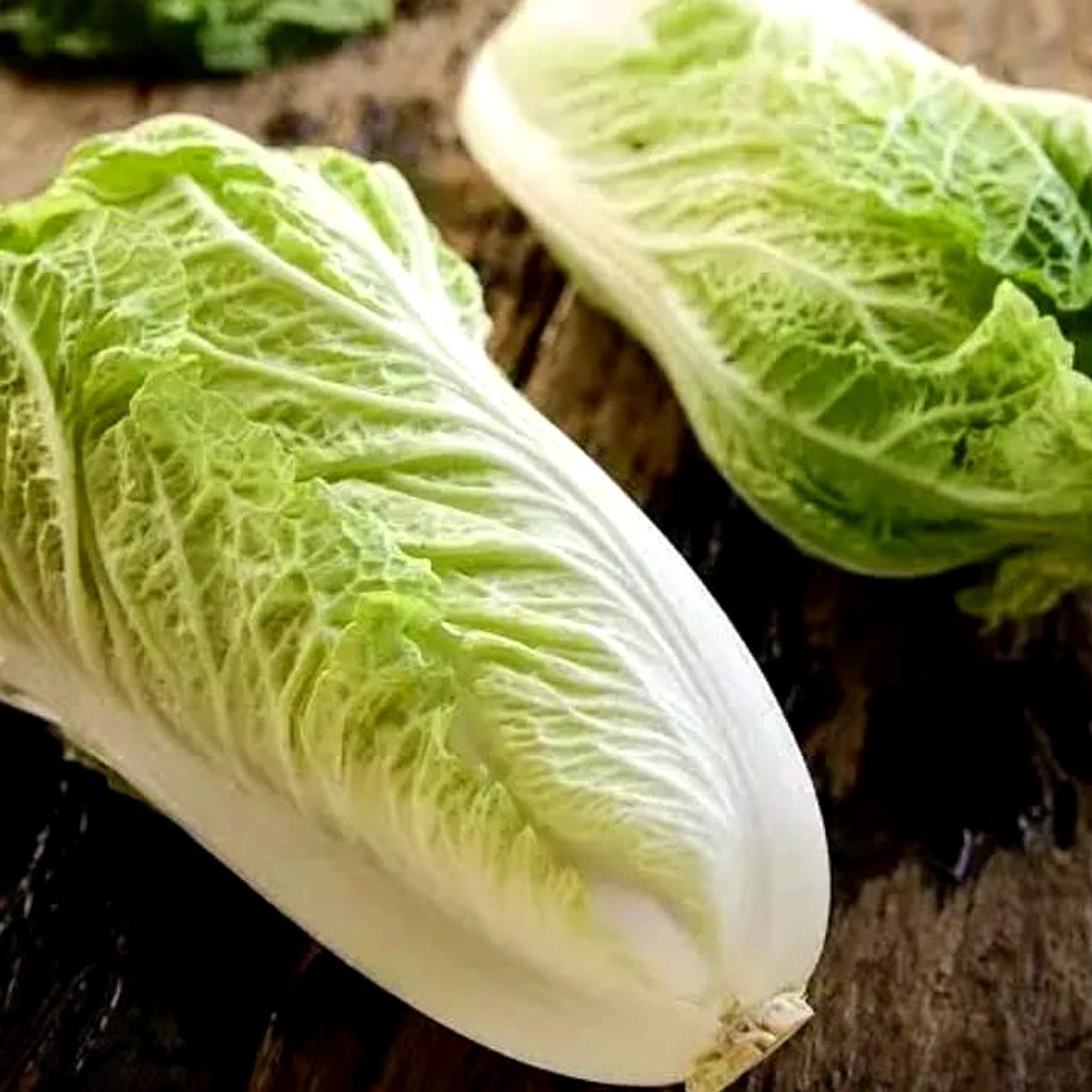 Chinese Cabbage