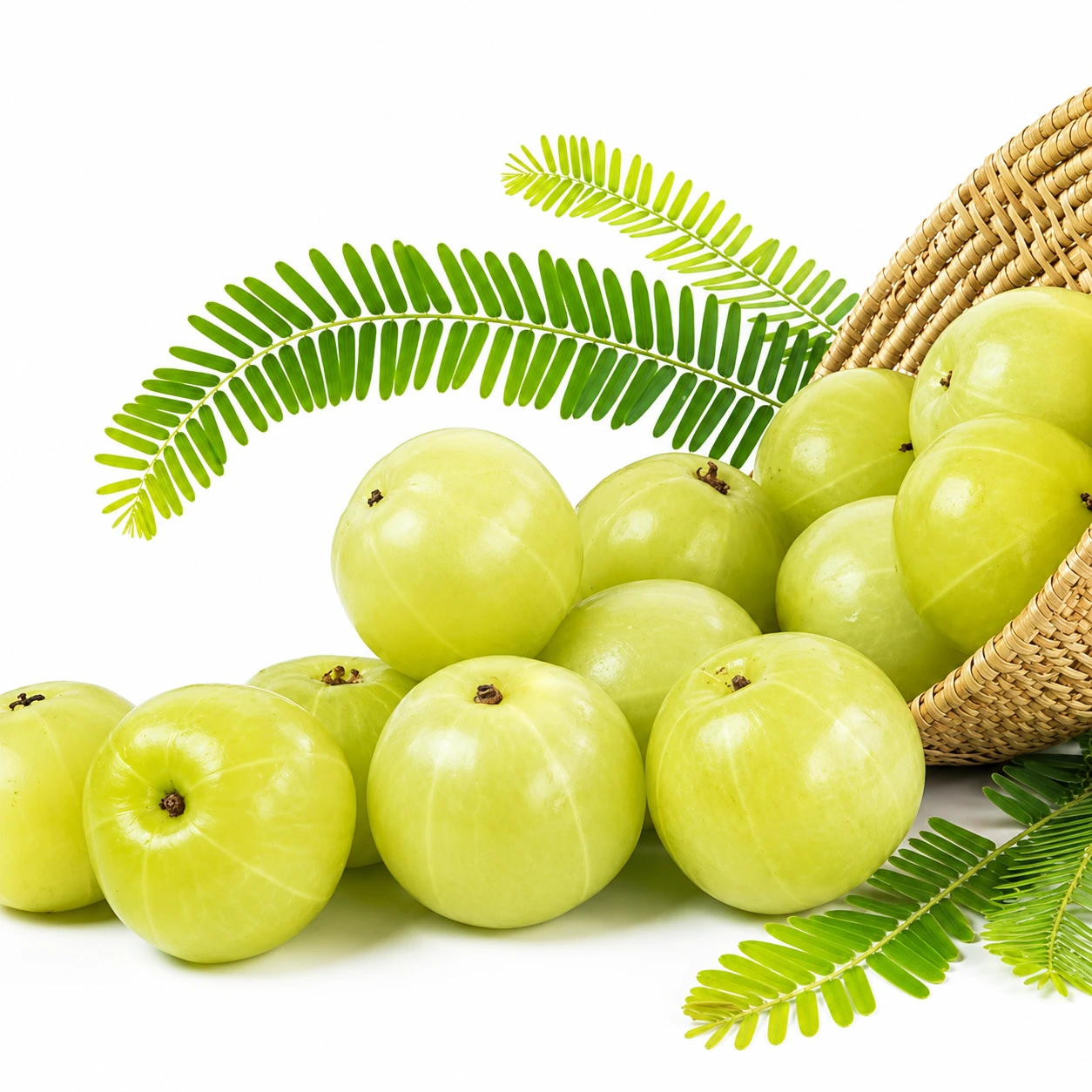 Amla (Indian Gooseberry)