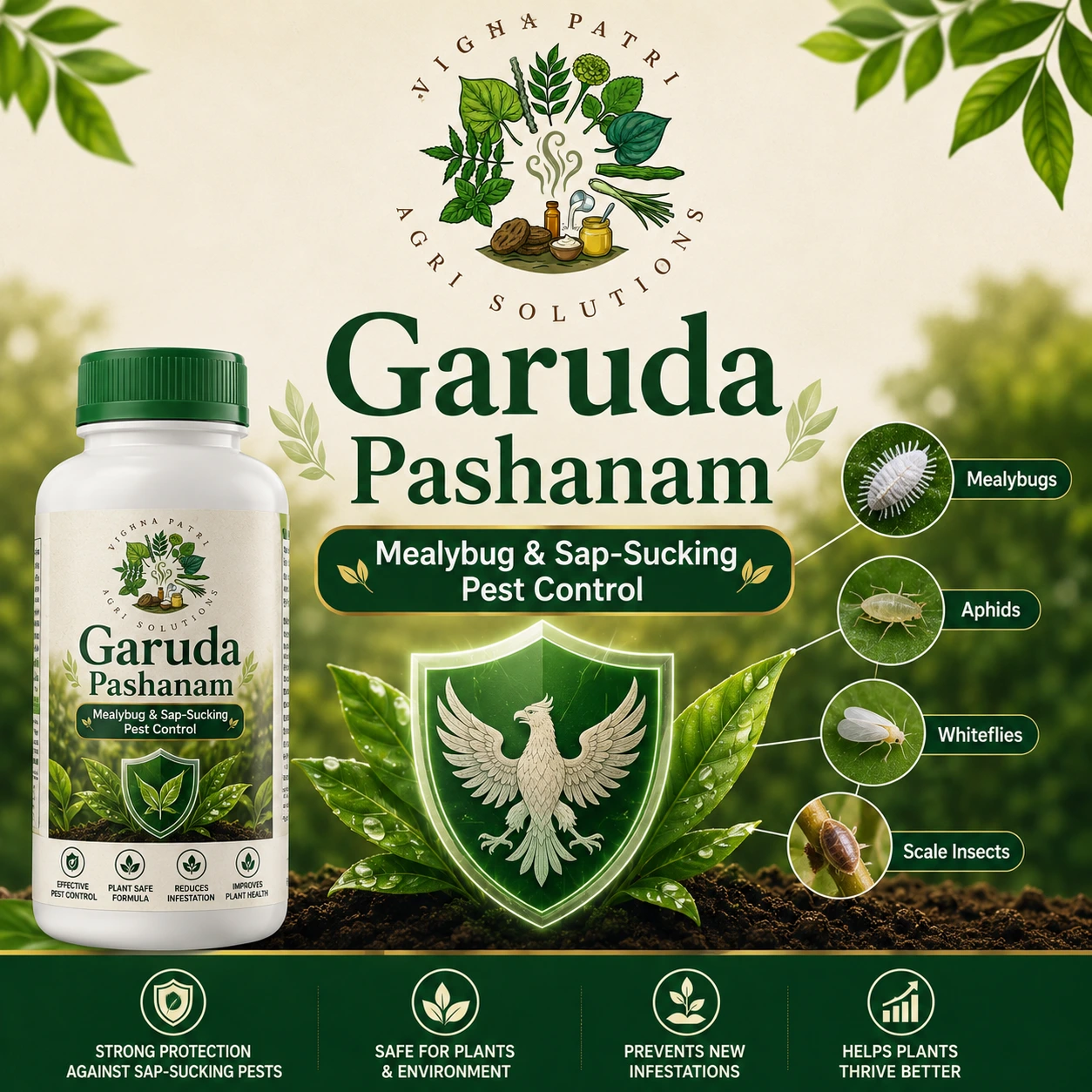 Garuda Pashanam – Mealybug &amp;amp;amp; Sap-Sucking Pest Control