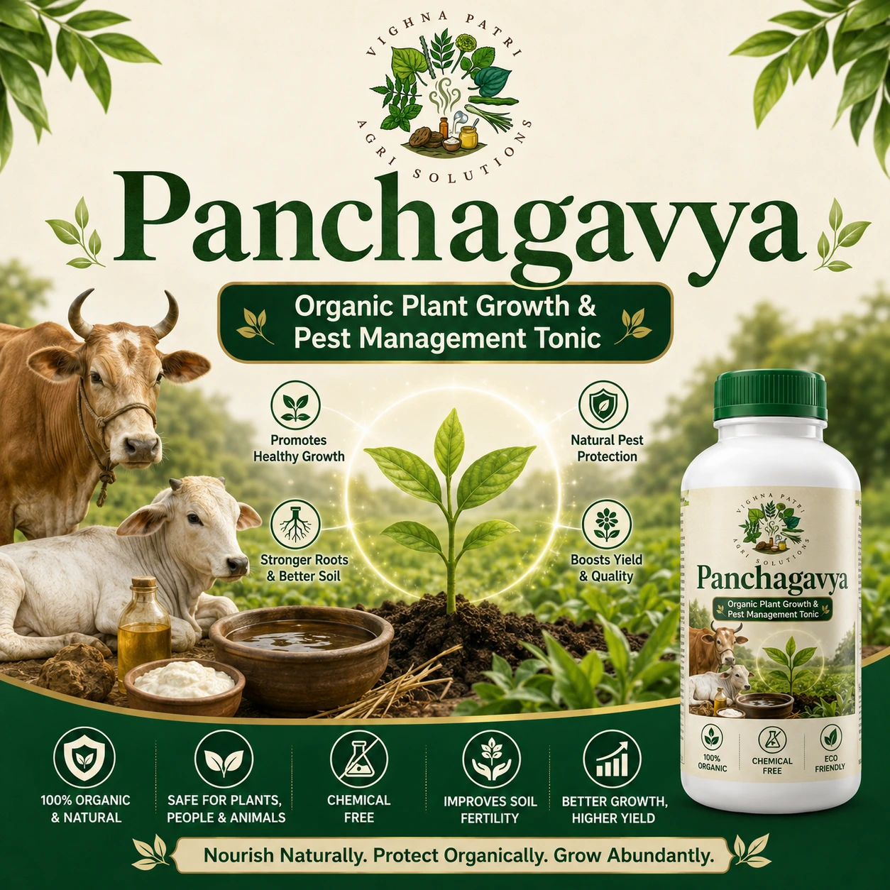 Panchagavya – Organic Plant Growth and Pest Management Tonic