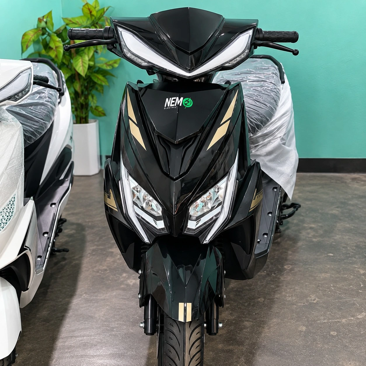Nemo Electric Black Gold Sport Scooter