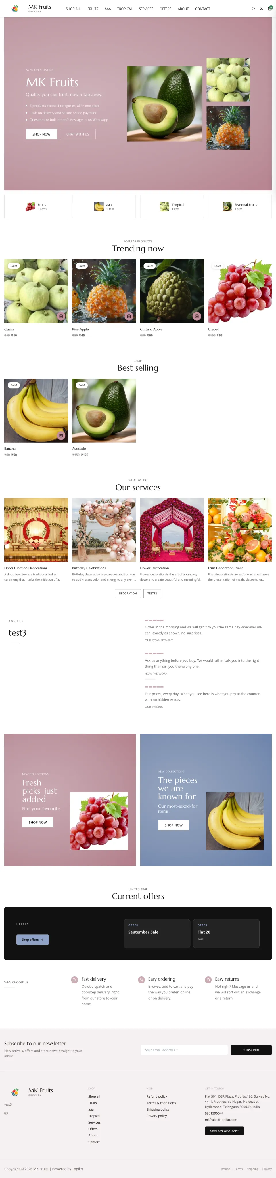 Store · Canvas full website preview